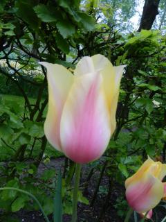 DSCN0418.jpg