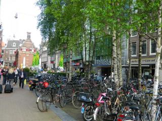 DSCN0341.JPG