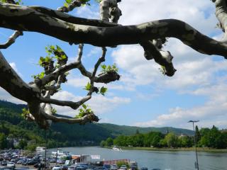 DSCN1430.JPG