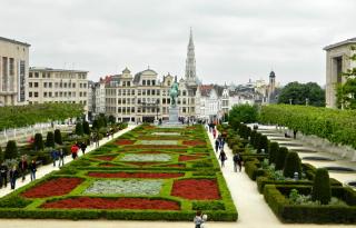 DSCN1181.jpg
