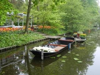DSCN0475.JPG