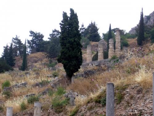 P1000726a.jpg