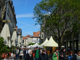 DSCN1767.JPG