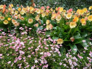 DSCN0456.JPG