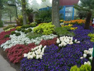 DSCN0453.JPG