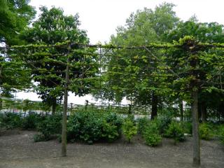 DSCN1203.JPG