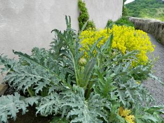 DSCN1490.jpg
