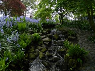 DSCN0486.JPG