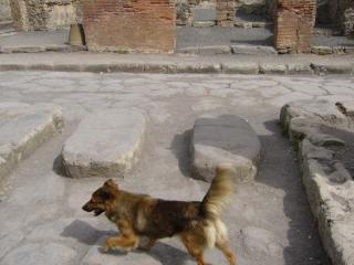P1000291.JPG