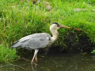 DSCN0285.JPG