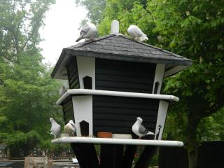 DSCN0443.JPG