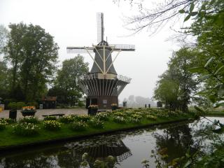 DSCN0474.JPG
