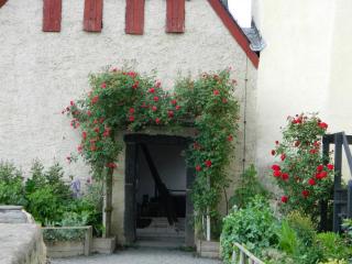DSCN1486.JPG