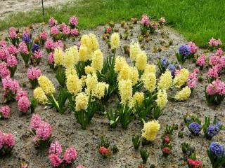 DSCN0450.jpg