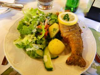 DSCN1572.JPG