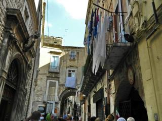 DSCN1355.jpg