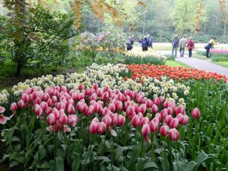DSCN0529.jpg
