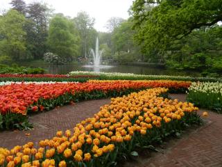 DSCN0567.JPG