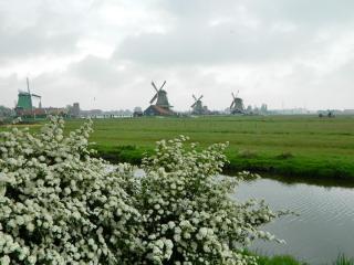 DSCN0287.jpg