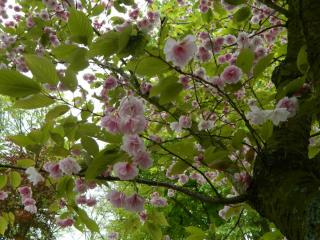 DSCN0575.JPG