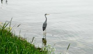 DSCN0160.jpg
