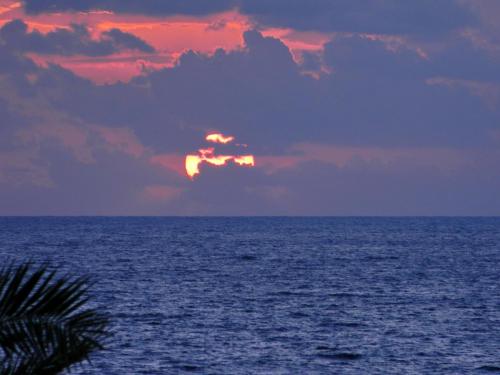 DSCN3375.jpg