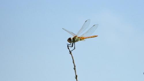 DSCN2712.jpg