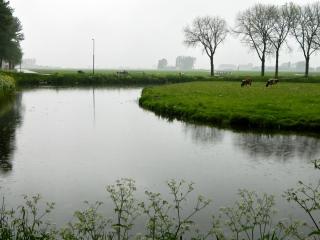 DSCN0284.jpg