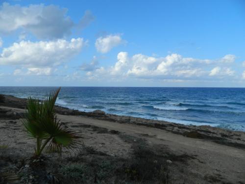 DSCN3326.JPG