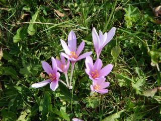 DSCN0928.JPG