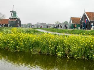 DSCN0303.jpg