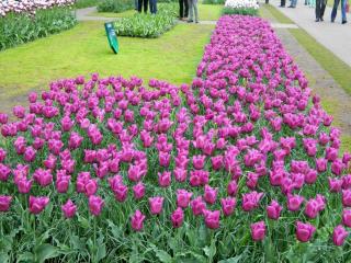 DSCN0522.jpg