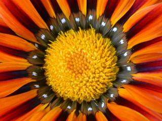 DSCN0145.JPG