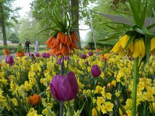 DSCN0473.JPG