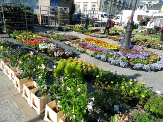 DSCN1346.JPG