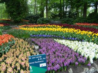 DSCN0380.JPG