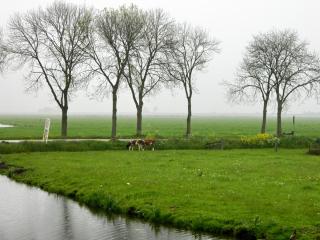 DSCN0260.jpg