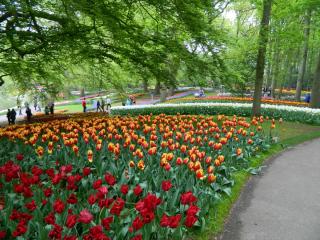 DSCN0561.JPG
