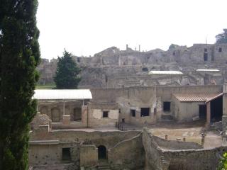P1000271.JPG