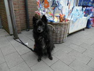 DSCN0515.JPG