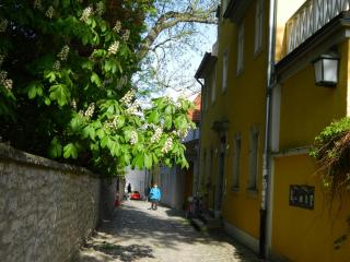 DSCN1819.JPG