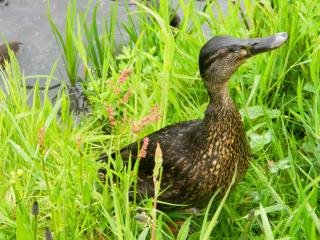 DSCN0328.JPG