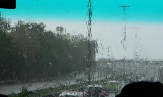 DSCN0901.jpg