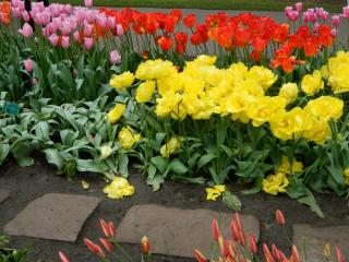 DSCN0392.JPG