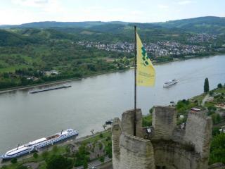 DSCN1484.JPG