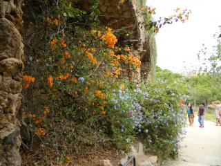 DSCN2812.JPG