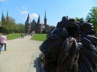 DSCN9811.JPG
