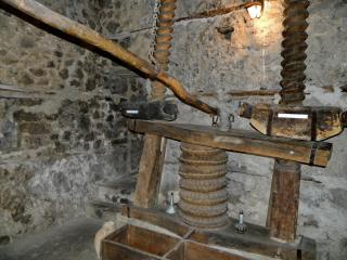 DSCN1692.jpg