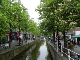 DSCN0609.JPG
