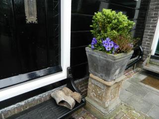 DSCN0228.JPG